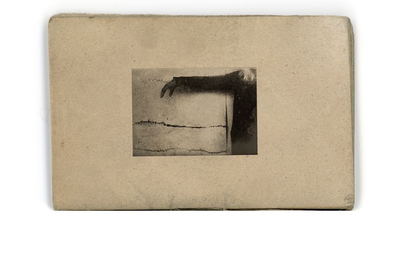 © Lisa Gervassi - Image from the Epitaph for Fire and Flower photography project