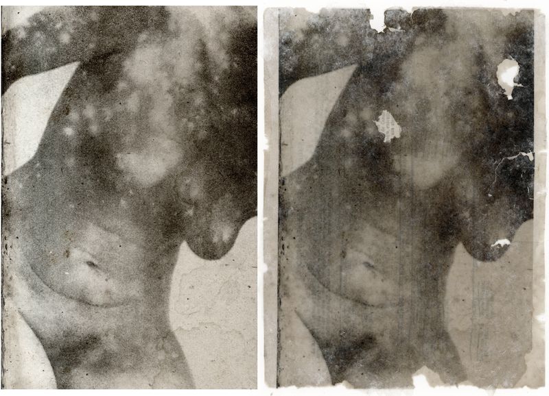 © Lisa Gervassi - Image from the Epitaph for Fire and Flower photography project