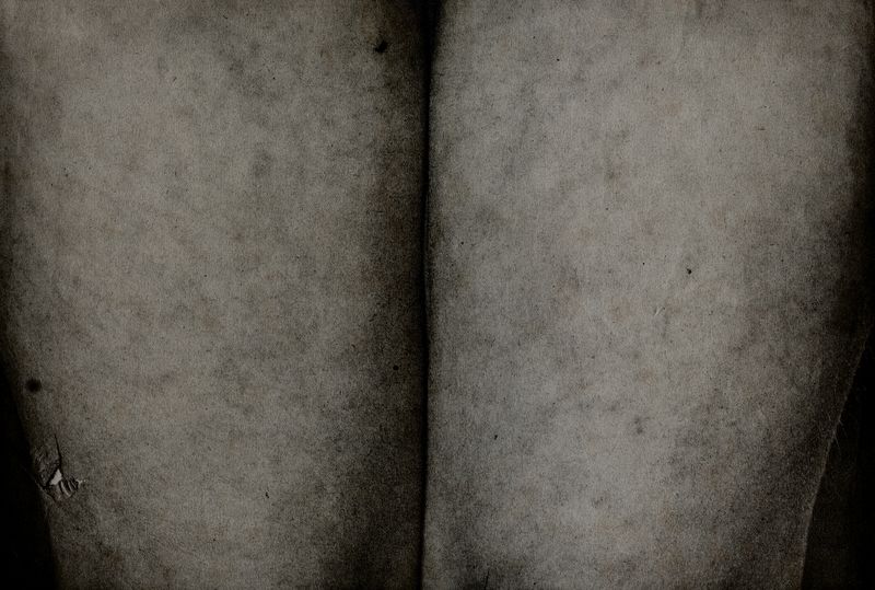 © Lisa Gervassi - Image from the Epitaph for Fire and Flower photography project