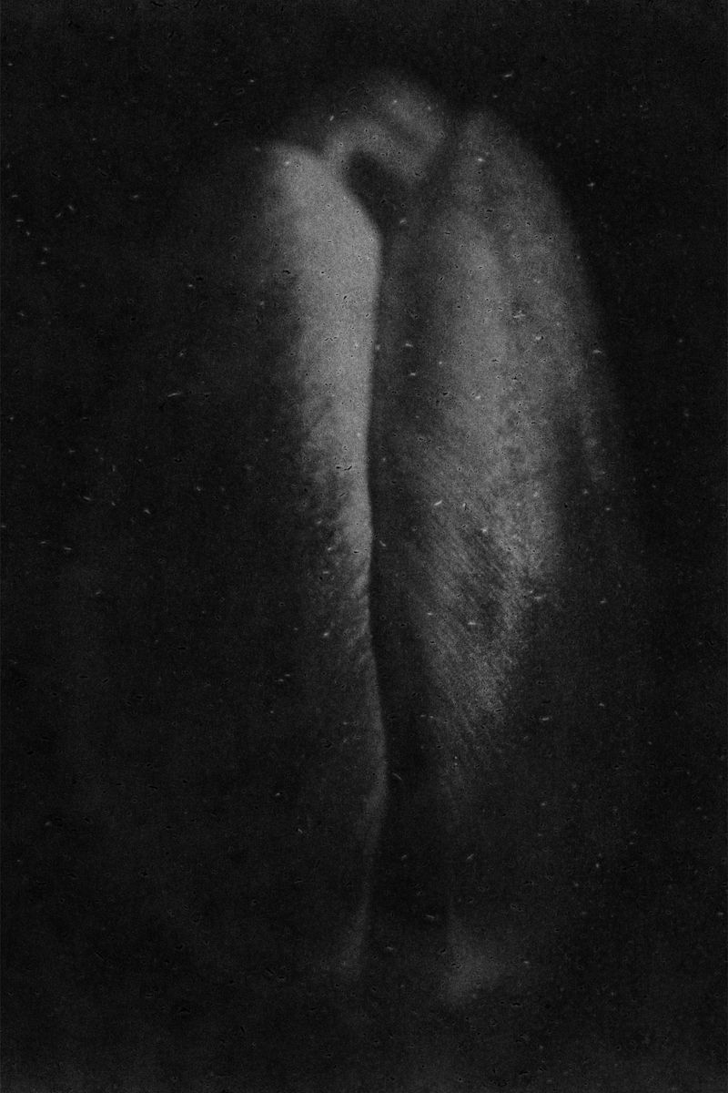 © Lisa Gervassi - Image from the Epitaph for Fire and Flower photography project