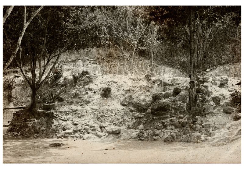 © Lisa Gervassi - Image from the Epitaph for Fire and Flower photography project