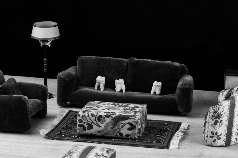 © Lisa Gervassi - Image from the Odontophilia photography project