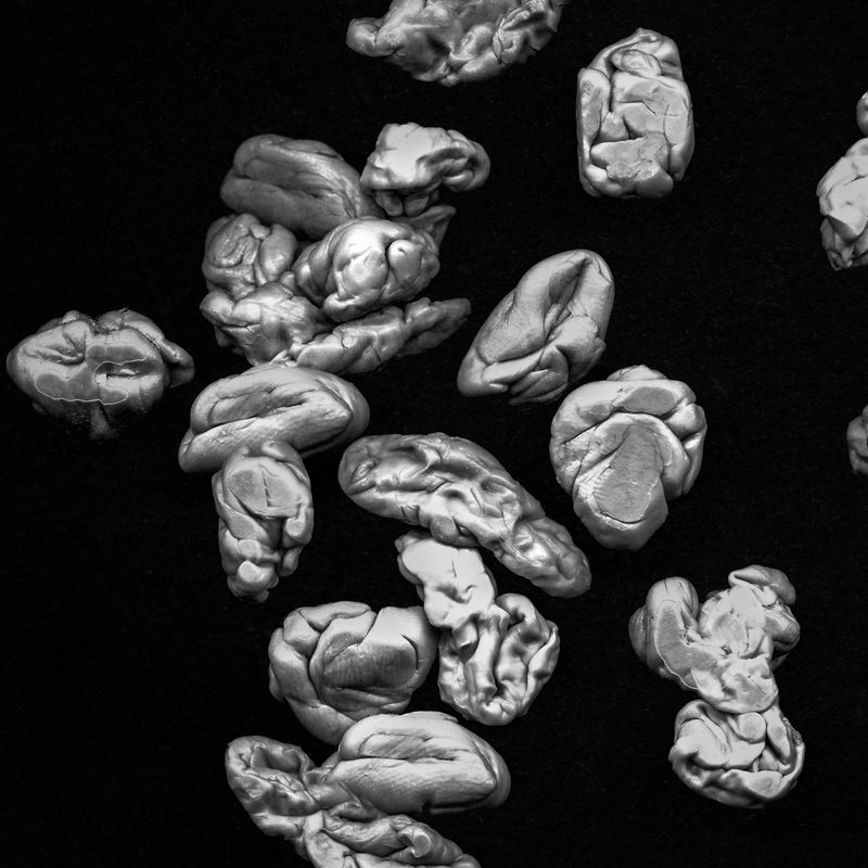 © Lisa Gervassi - Image from the Odontophilia photography project