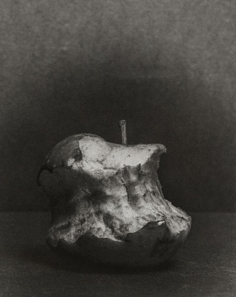 © Lisa Gervassi - Image from the Odontophilia photography project