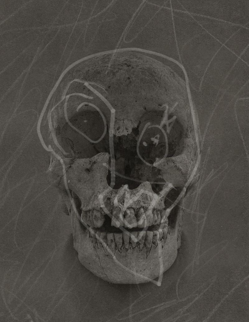 © Lisa Gervassi - Image from the Odontophilia photography project