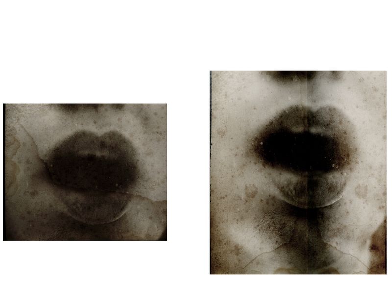 © Lisa Gervassi - Image from the Epitaph for Fire and Flower photography project