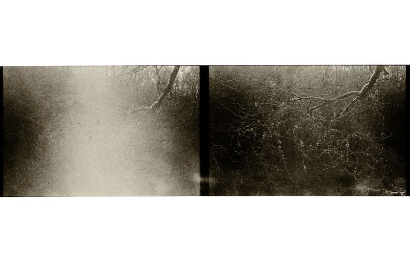 © Lisa Gervassi - Image from the Epitaph for Fire and Flower photography project