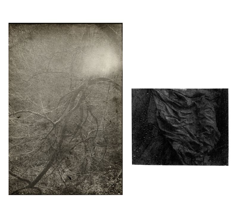 © Lisa Gervassi - Image from the Epitaph for Fire and Flower photography project