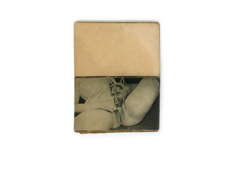 © Lisa Gervassi - Image from the Epitaph for Fire and Flower photography project