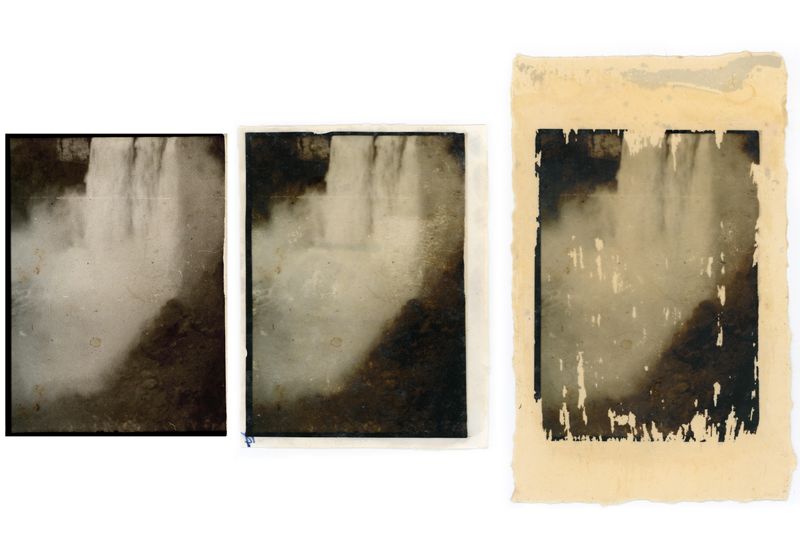 © Lisa Gervassi - Image from the Epitaph for Fire and Flower photography project