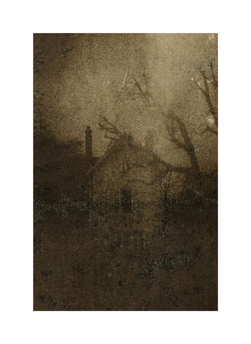 © Lisa Gervassi - Image from the Epitaph for Fire and Flower photography project