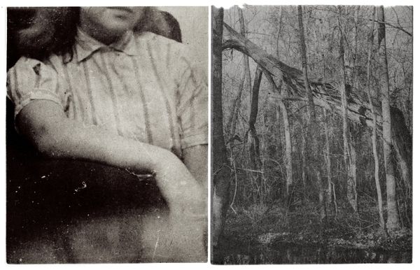 © Lisa Gervassi - Image from the Epitaph for Fire and Flower photography project