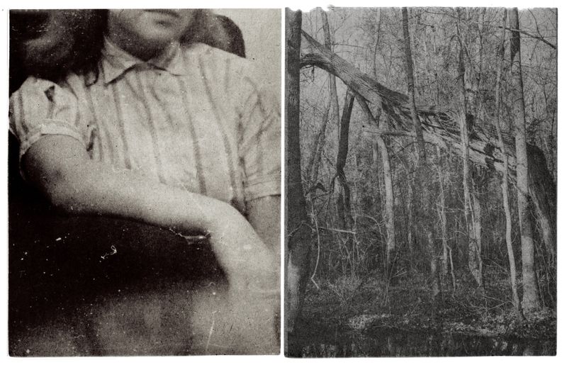 © Lisa Gervassi - Image from the Epitaph for Fire and Flower photography project