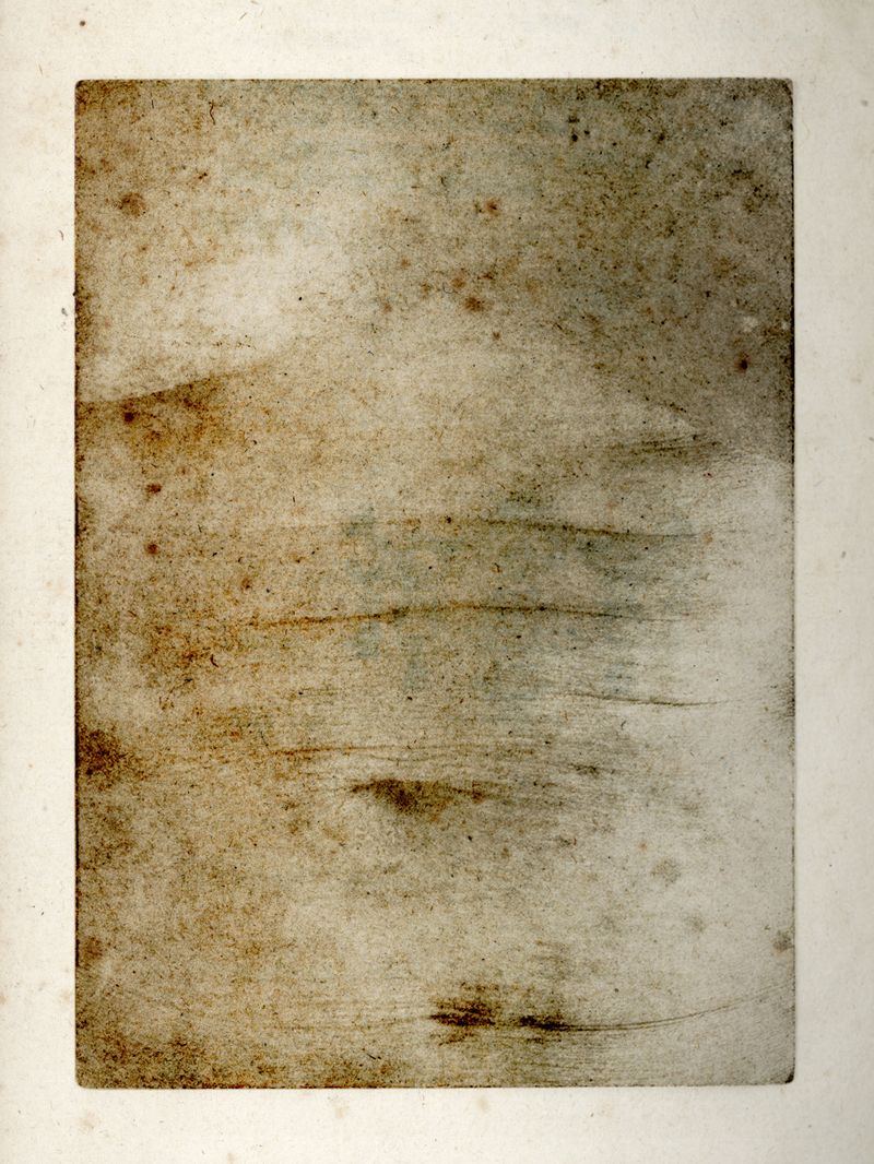 © Lisa Gervassi - Image from the Epitaph for Fire and Flower photography project