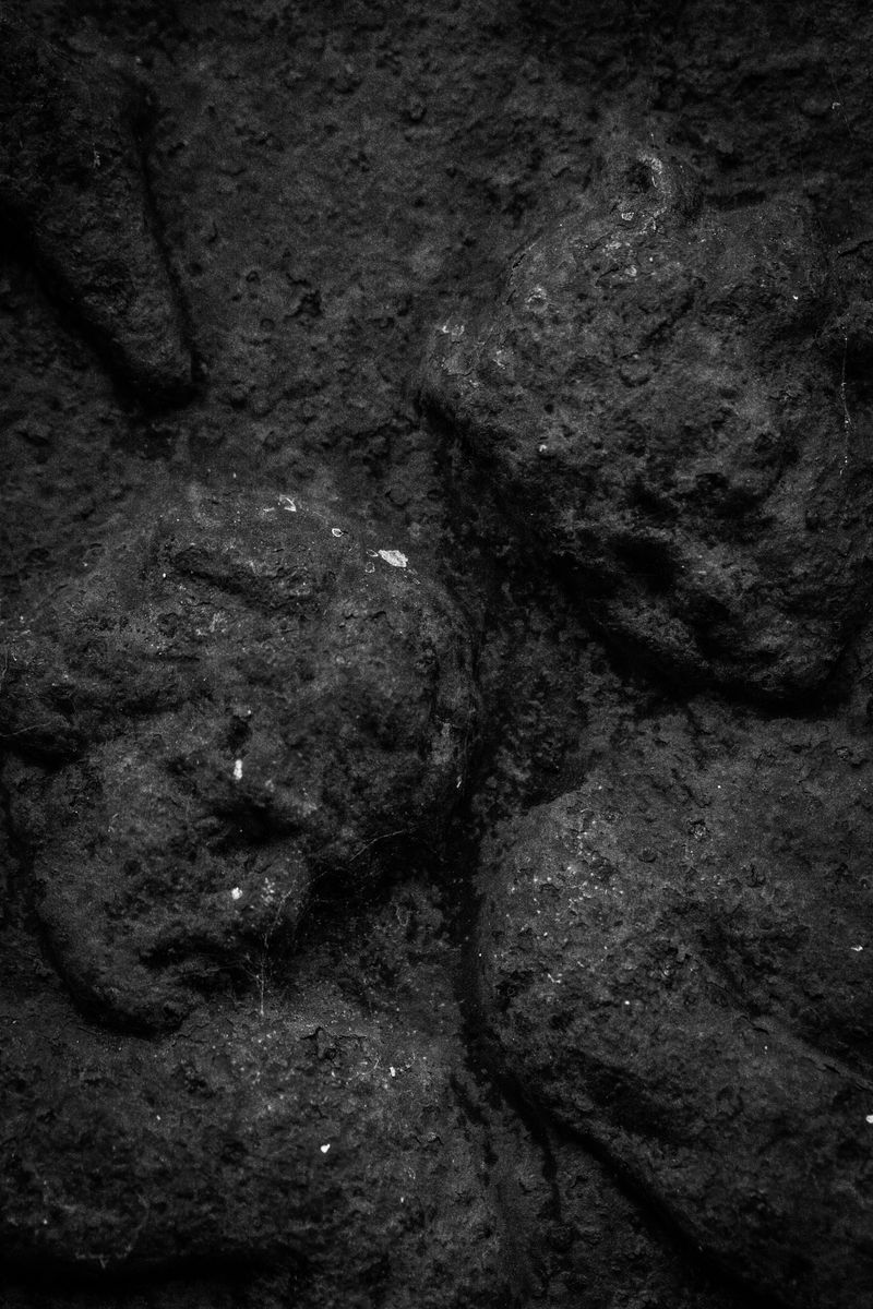 © Lisa Gervassi - Image from the Ring Around the Rosie photography project