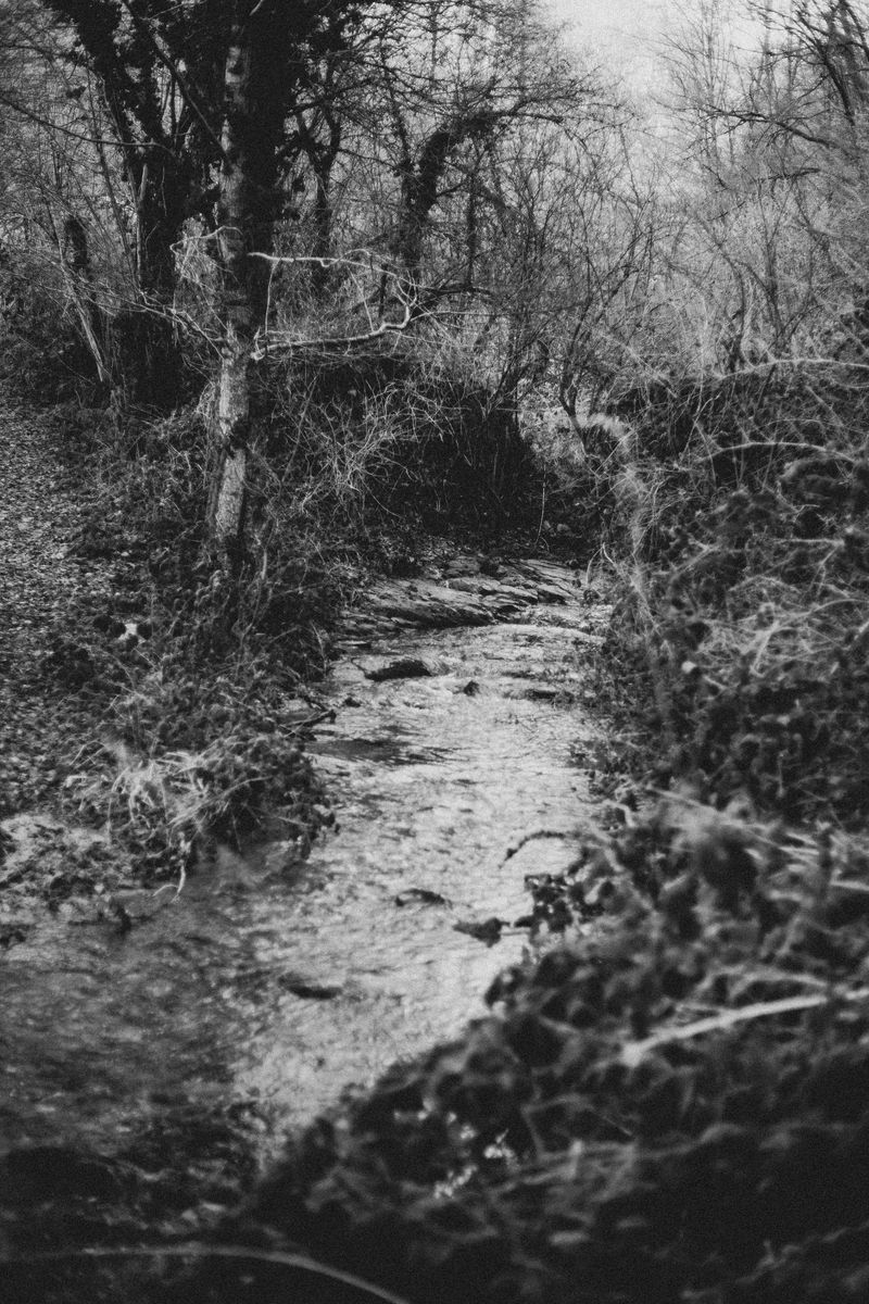 © Lisa Gervassi - Image from the Ring Around the Rosie photography project