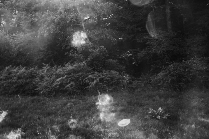 © Lisa Gervassi - Image from the Ring Around the Rosie photography project