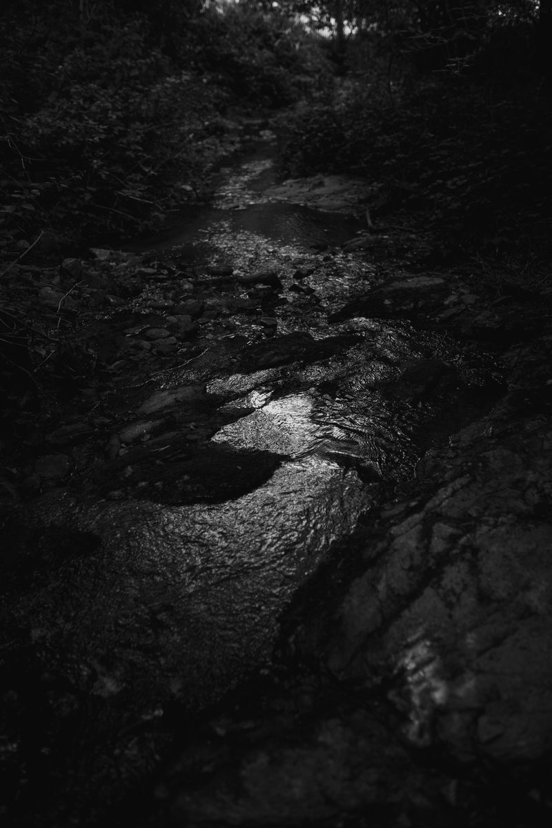 © Lisa Gervassi - Image from the Ring Around the Rosie photography project