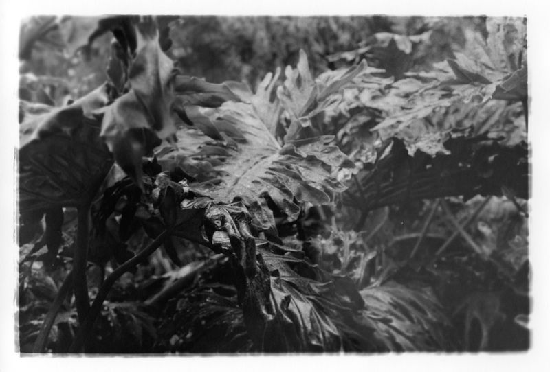 © Lisa Gervassi - Image from the L'Amour Amor photography project