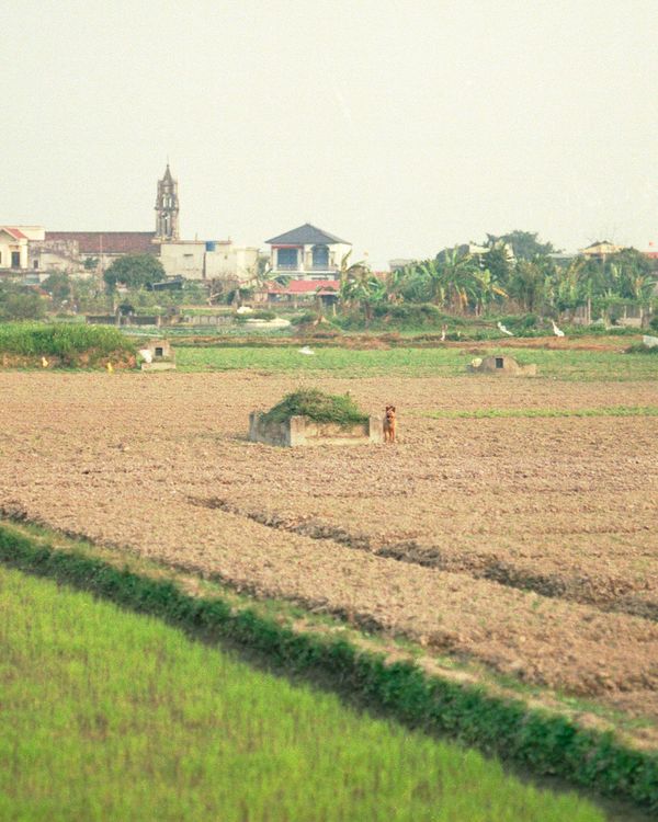 © Sara Bernhardt - Image from the Seeds of Vietnam photography project