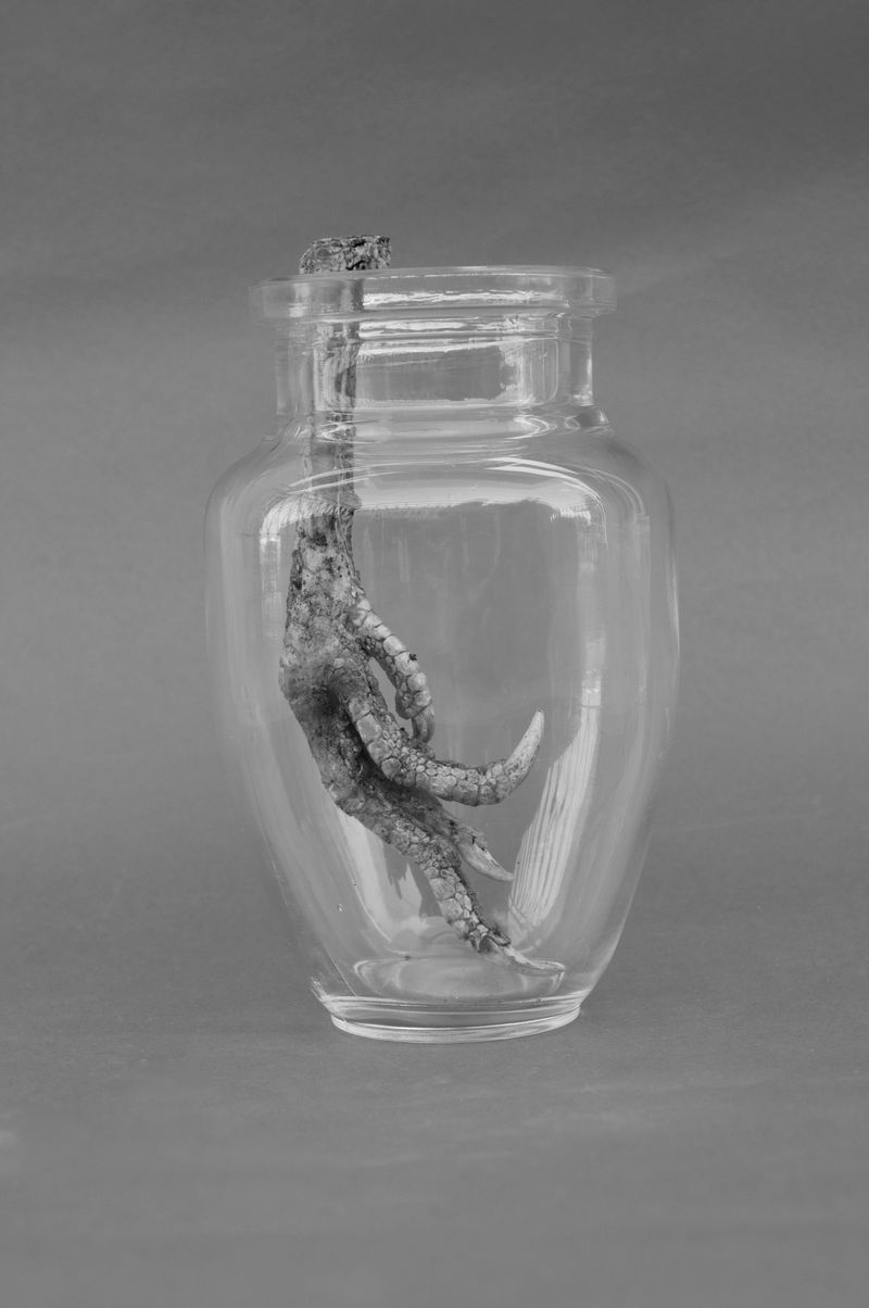 © Sara Bernhardt - Image from the Petrolio photography project