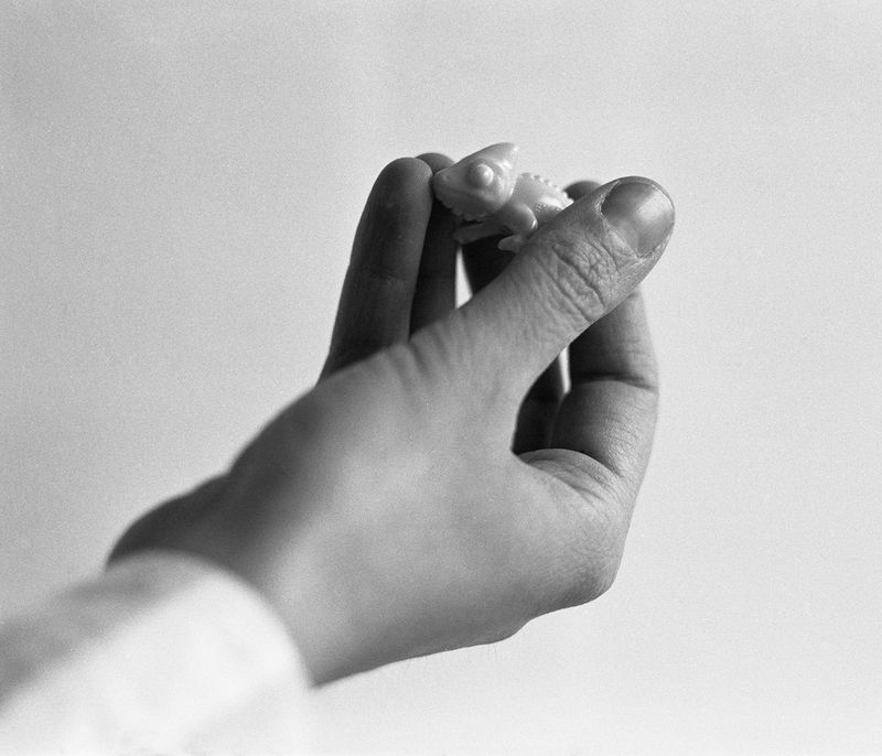 © Giuliana Borrelli - Image from the Each day I left you on the edge photography project