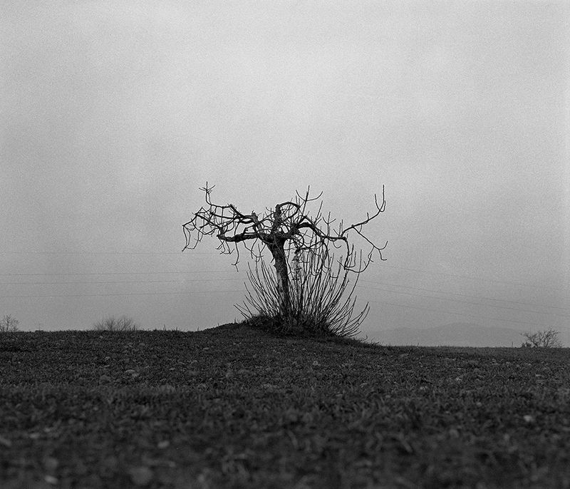 © Giuliana Borrelli - Image from the 15 metres to tell us apart photography project