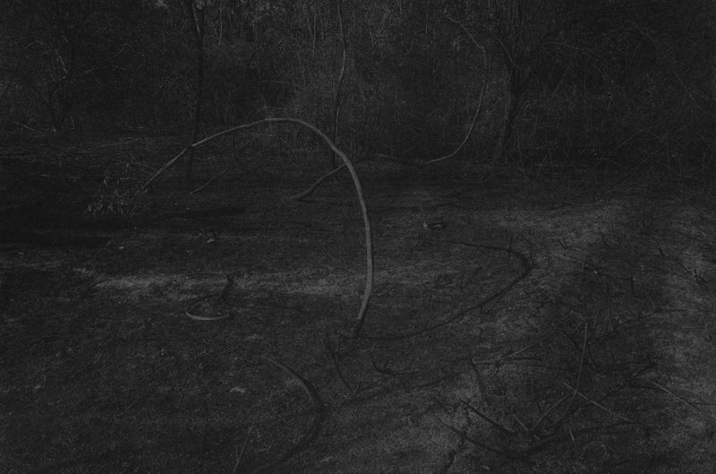 © Morten Christiansen - Image from the Onwards photography project