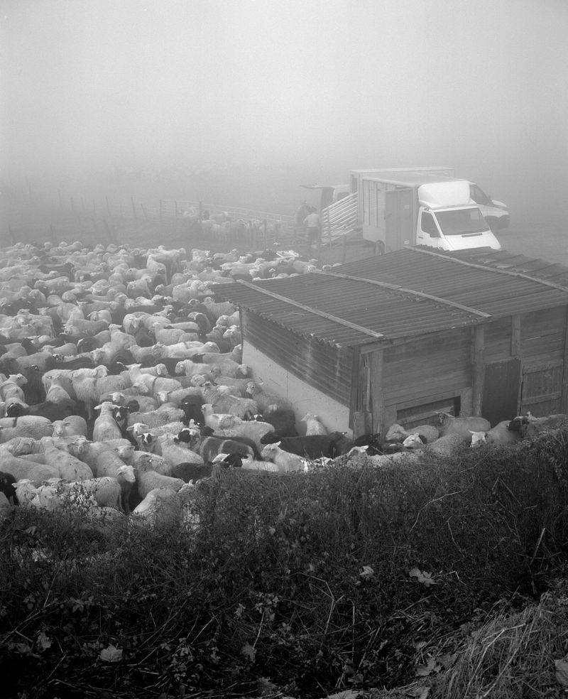 © Carlo Rusca - Image from the Turistica photography project
