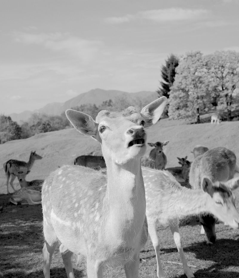 © Carlo Rusca - Image from the Turistica photography project