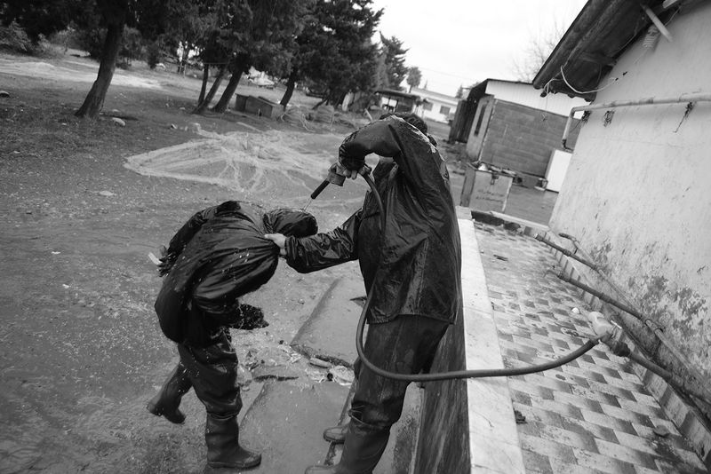 © Salman Sam daliri - Image from the emigration to Iran photography project