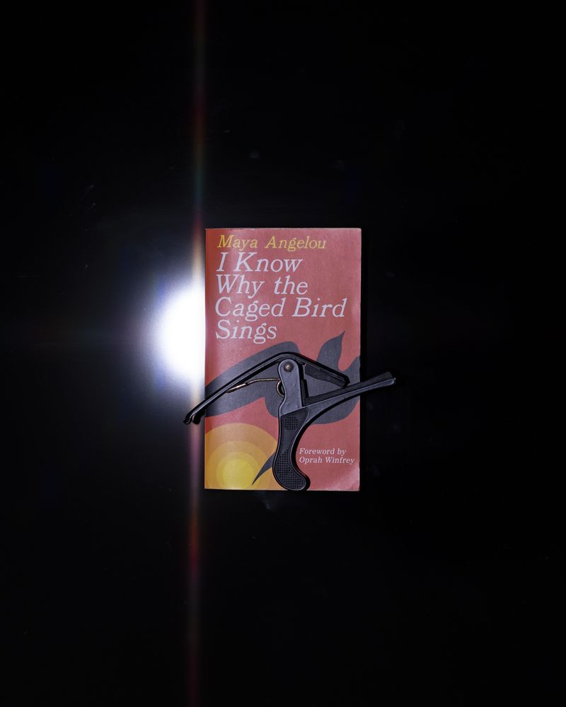 © Masina Pinheiro & Gal Cipreste - Maya's skeleton, 2024