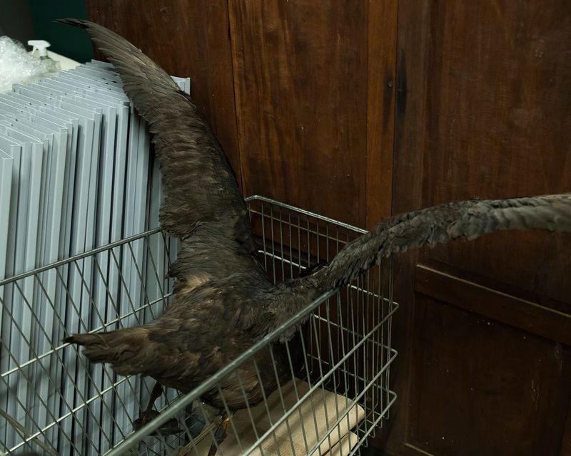 © Masina Pinheiro & Gal Cipreste - Discard corner, 2023