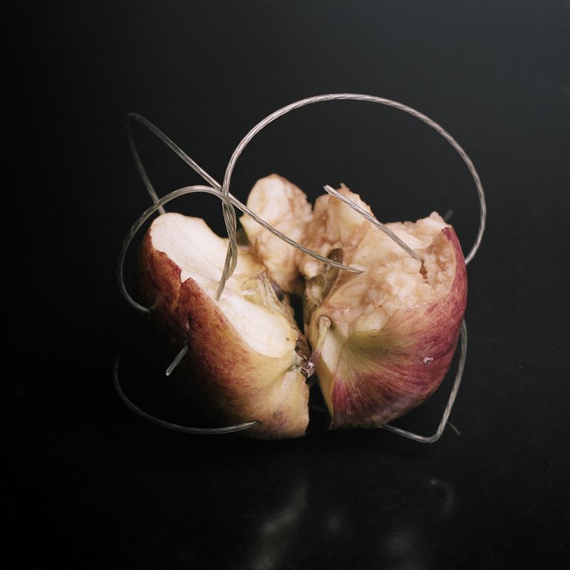 © Masina Pinheiro & Gal Cipreste - Image from the Small Meteors photography project