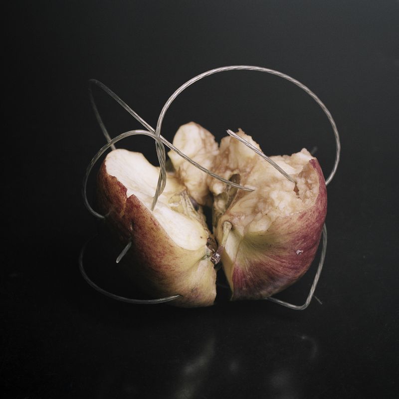 © Masina Pinheiro & Gal Cipreste - Image from the Small Meteors photography project