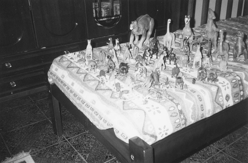 © Masina Pinheiro & Gal Cipreste - Image from the Small Meteors photography project