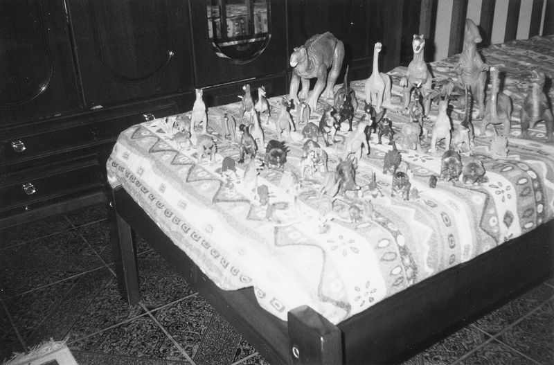 © Masina Pinheiro & Gal Cipreste - Image from the Small Meteors photography project