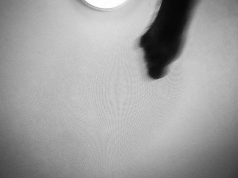 © Andrea Cioschi - Image from the Whispers photography project
