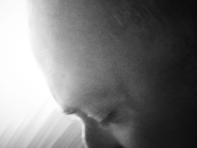 © Andrea Cioschi - Image from the Whispers photography project