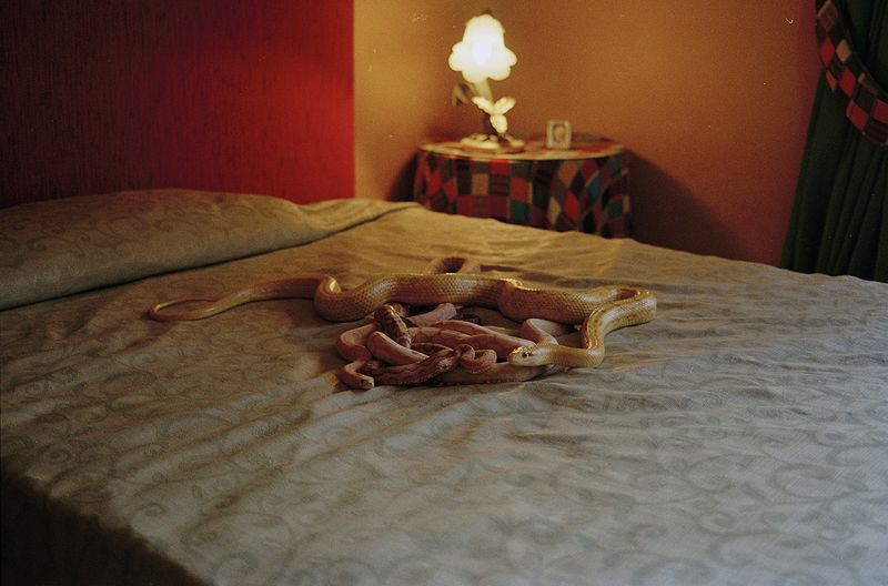 © ludovica de santis - Image from the Onironautica photography project