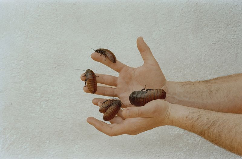 © ludovica de santis - Image from the Onironautica photography project