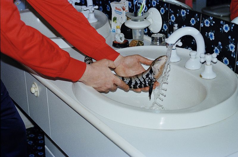 © ludovica de santis - Image from the Onironautica photography project