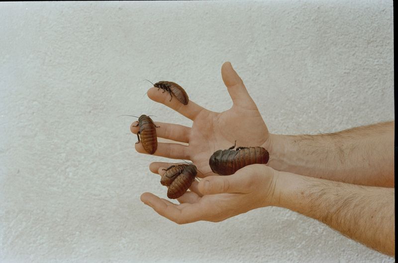 © ludovica de santis - Image from the ONIRONAUTICA photography project