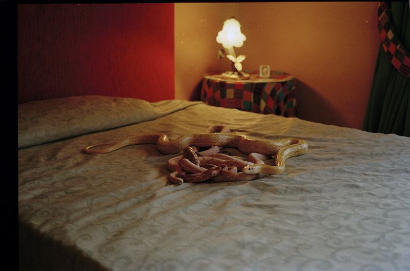 © ludovica de santis - Image from the ONIRONAUTICA photography project