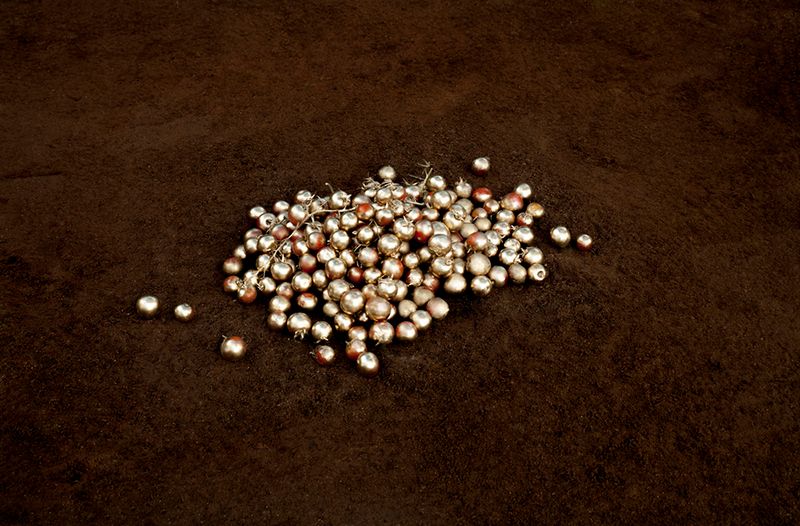 © Alessia Rollo - Image from the Fata Morgana photography project