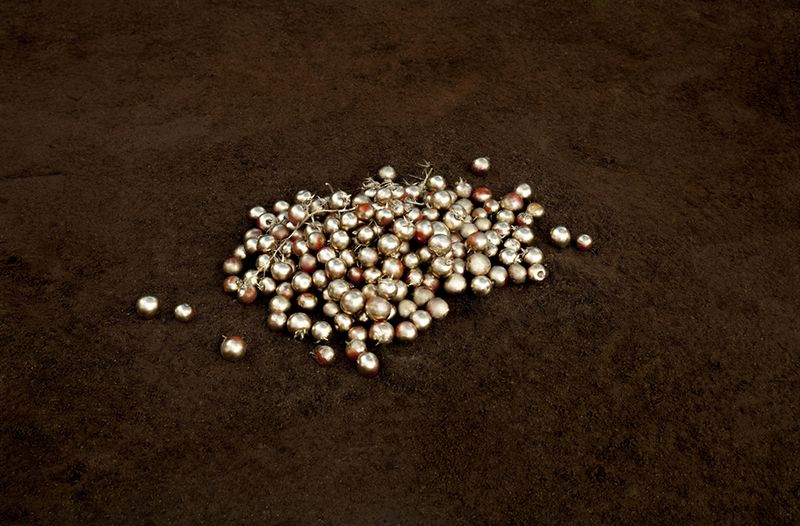 © Alessia Rollo - Image from the Fata Morgana photography project