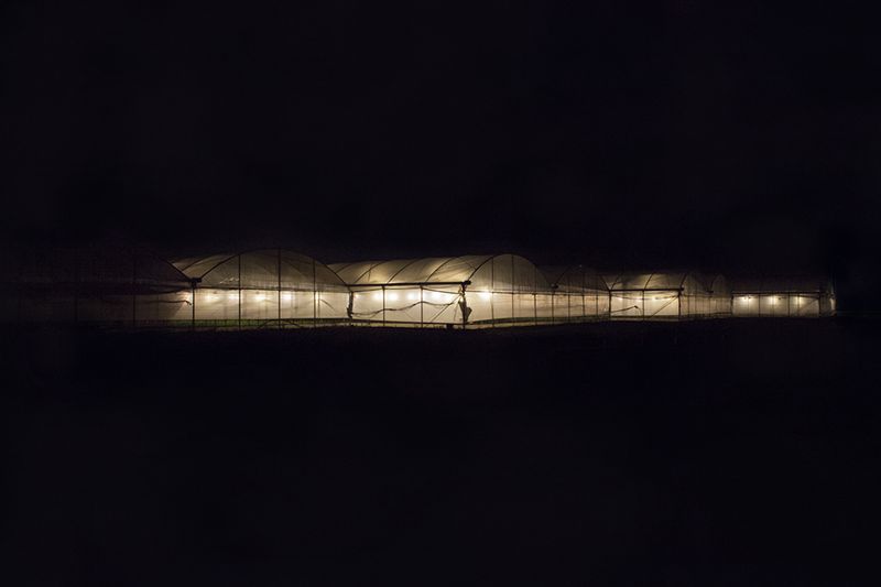 © Alessia Rollo - Image from the Fata Morgana photography project