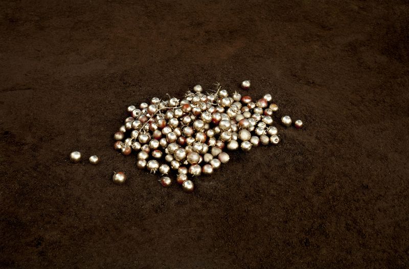 © Alessia Rollo - Image from the Fata Morgana photography project