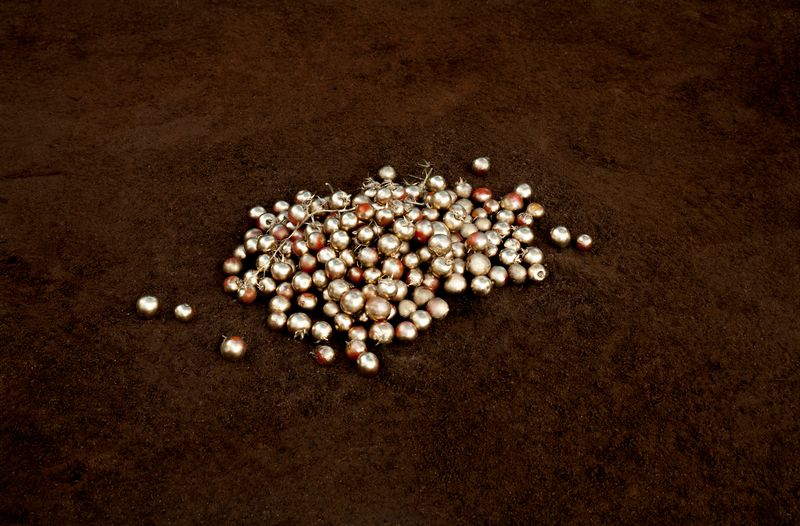 © Alessia Rollo - Image from the Fata Morgana photography project