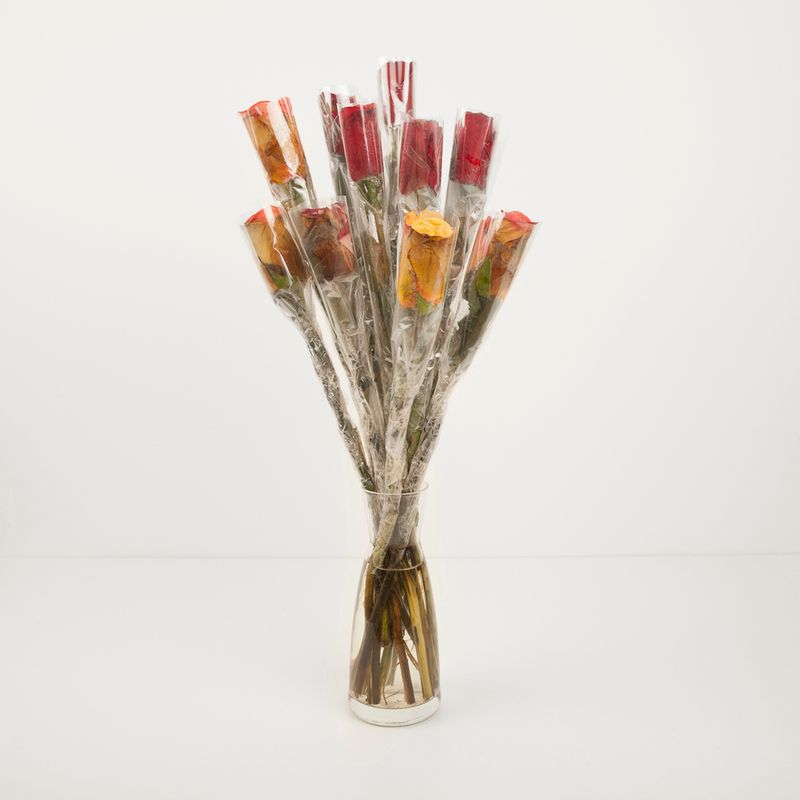 © Alessia Rollo - Image from the Fata Morgana photography project